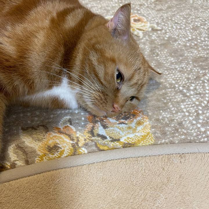 44e97fa0 c37c 4b24 a758 2d7edd9901fc 1632580193934