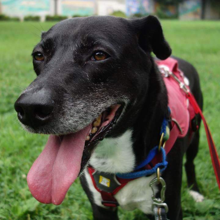 44e9b6ce eb5c 4bca 88f0 2f98d4fd5bcb 1689381238778