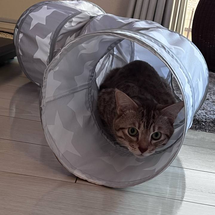 44e9b726 47e7 448b b322 29a7a98dcc3f 1698617331123