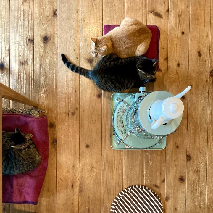 44e9c7be a4bb 4d88 b79e 67ef89ecc6f9 1706741445082