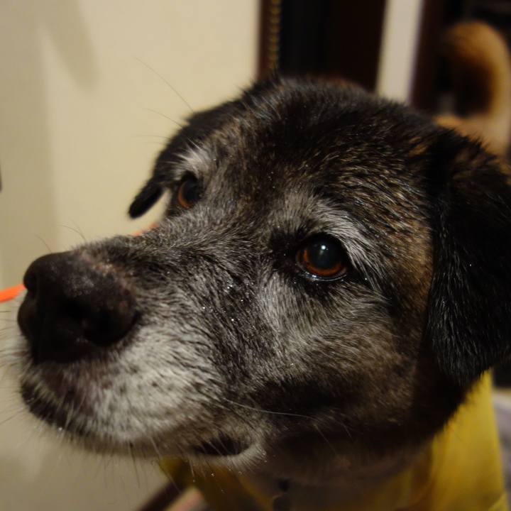 44e9e25a bcb7 4a30 bb15 509ef57cefa1 1641345201099