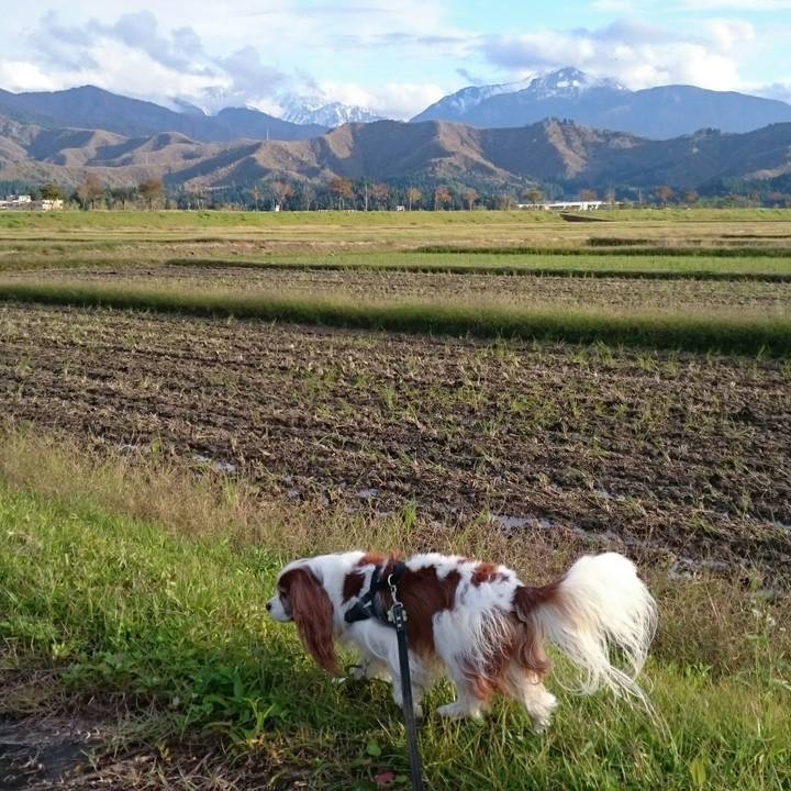 44e9f130 2d16 44a9 a966 d086568949de 1541145726934