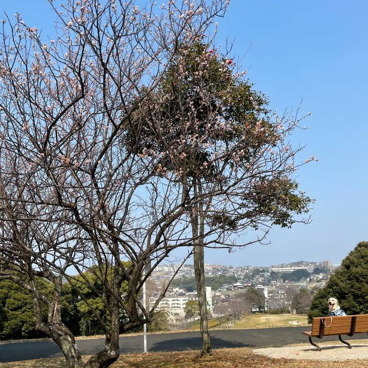 44ea2de5 b363 4093 8757 05f196735fde 1646815119853