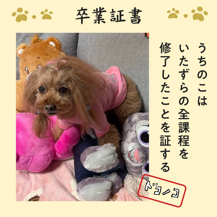 44ea8b47 3a54 469f a47b 10050df93aaa 1772093969152