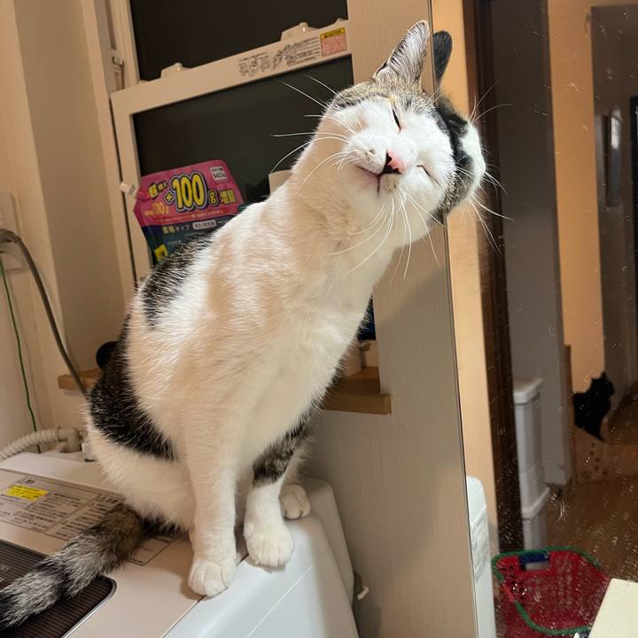 44ea8f35 bfed 47bd b5fd a25c0b06aaa1 1763169037941