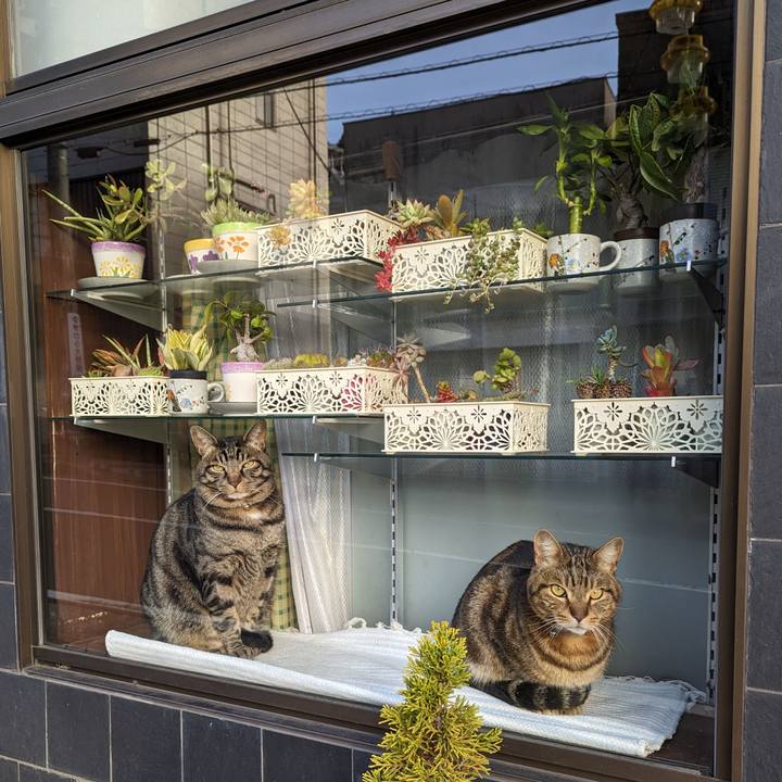 44eb4dff b8cb 4e2a 89cb 023c4691ba4f 1674913477548