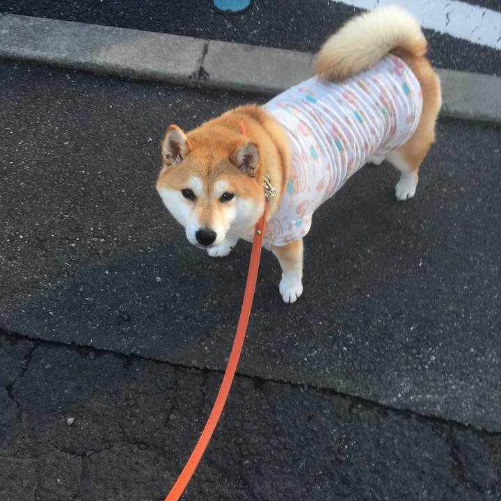 44eb5a7e 8dea 47e2 9af7 8a098dac6491 1545353434278