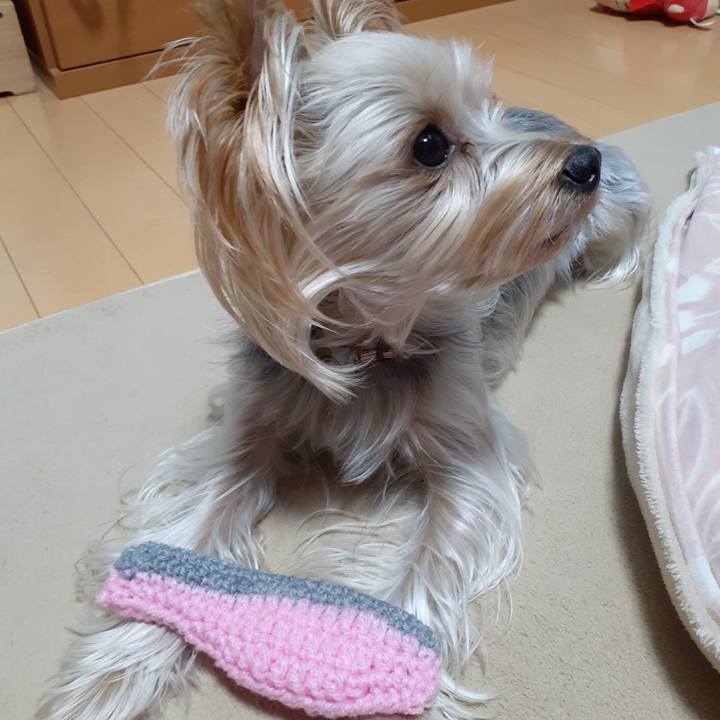 44eb5f3b 4436 4a9d b41e 090552da546d 1606089503066