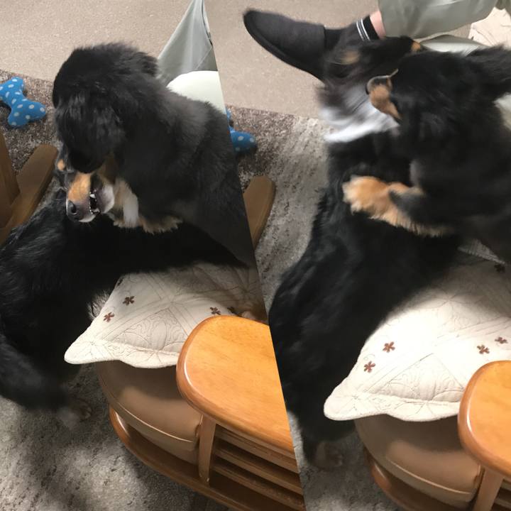 44eb6809 2d84 42c8 86ac e356e409b363 1519856741994