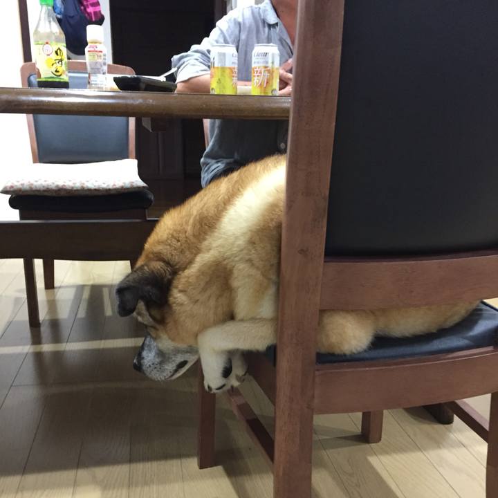 44eb7002 dfa5 4a67 b811 7fea4a97a17b 1560162049093