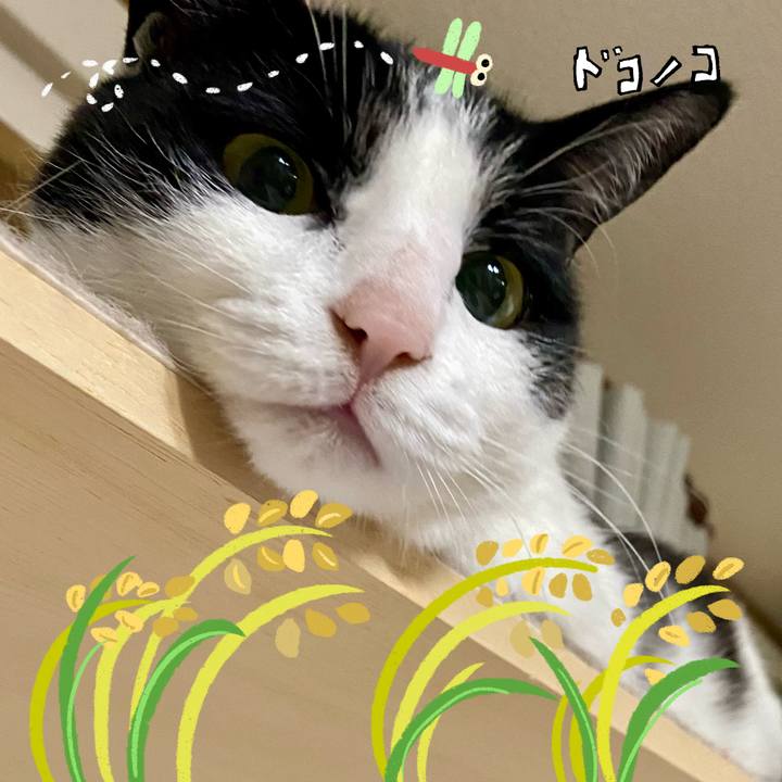 44eb719c bfc5 4b0f b35b dfa29eaa77a5 1761355769583