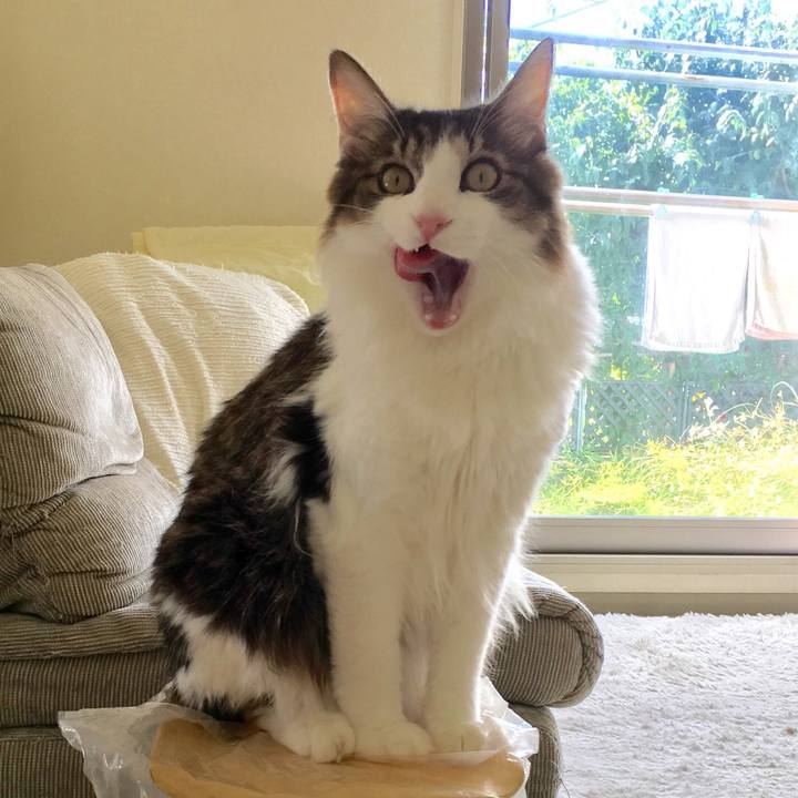 44eb7b23 5202 47d7 b05e 2142f747ac7d 1512086273153