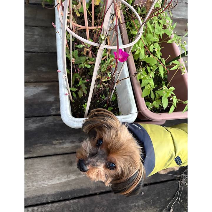 44eb8f0b 7eaf 472f a88b 6968d02dc260 1731533646720