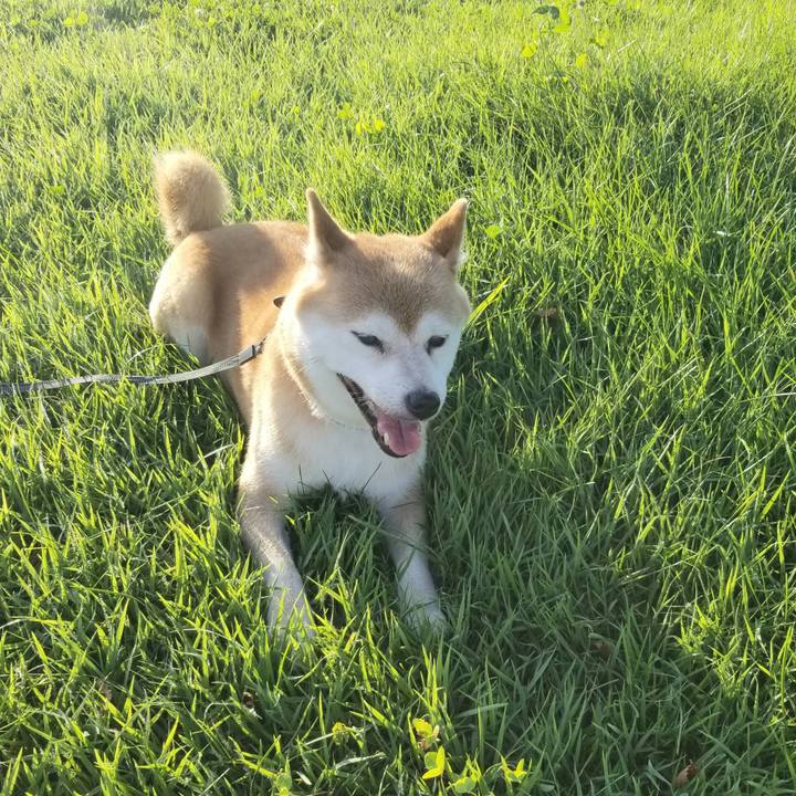 44eba5ad fa6b 4670 bc86 52ed6aca6406 1597739054511