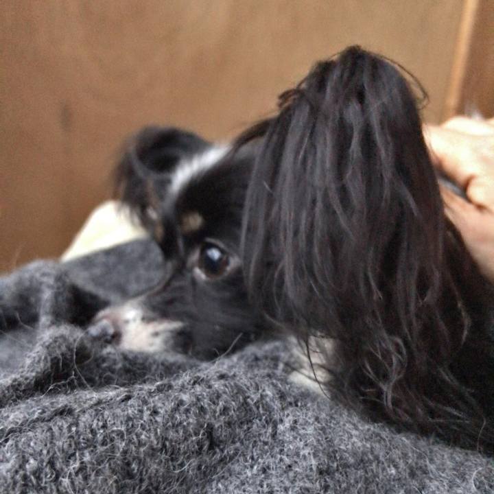 44ebbf93 81e1 4c4f b0b5 3aadd1173b14 1530826348825