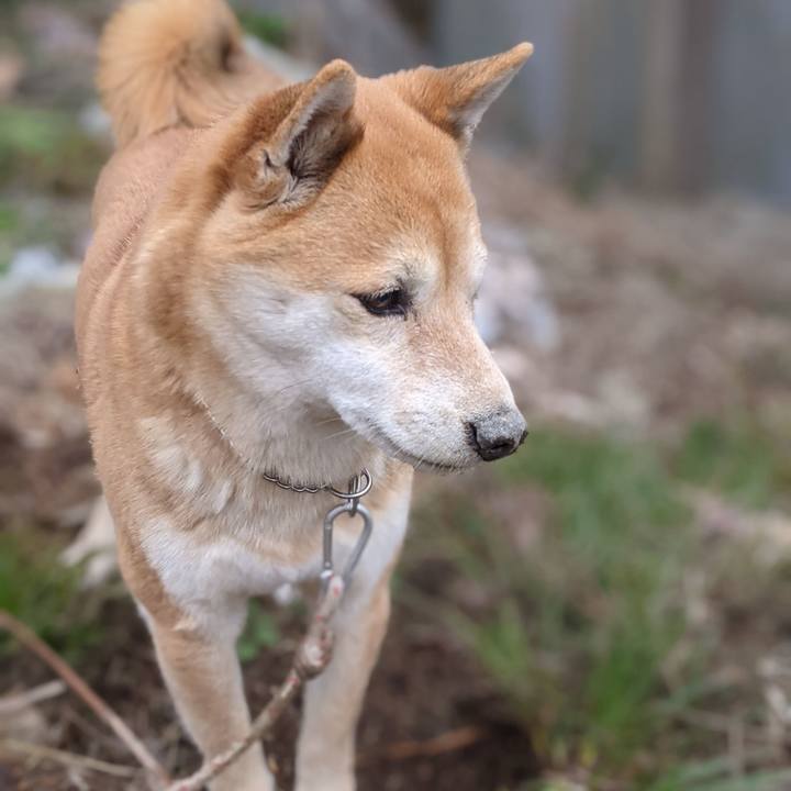 44ec24c1 c3bd 483a 9d66 d3a6a4937546 1610337578950