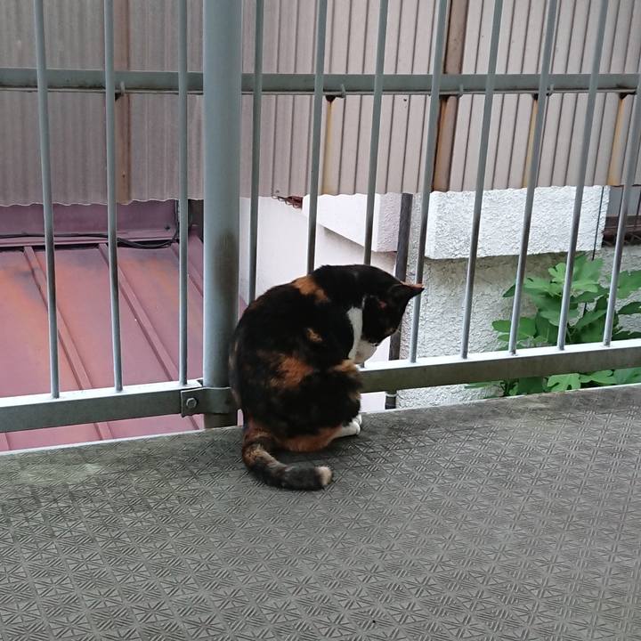 44ec2744 9541 4777 9e55 7db13aa0d055 1572233527195