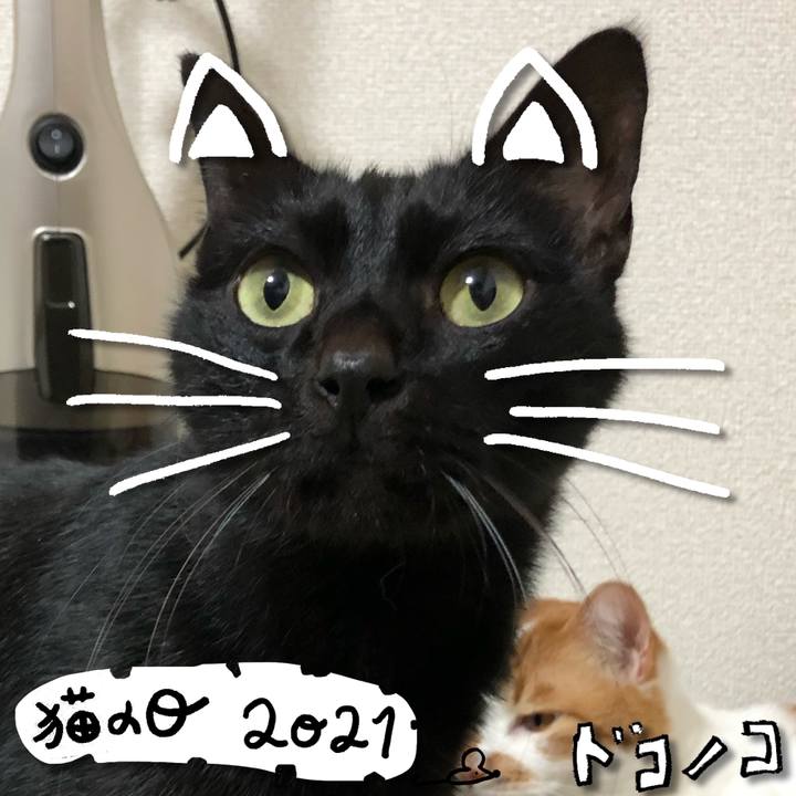 44ec4448 4bb5 4463 8532 04c24f47e7e0 1613993250214