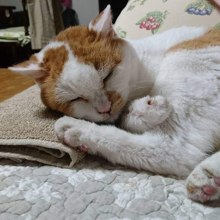 44ec709b 58b2 4e5a 9a82 d4dadcddd112 1566470562378