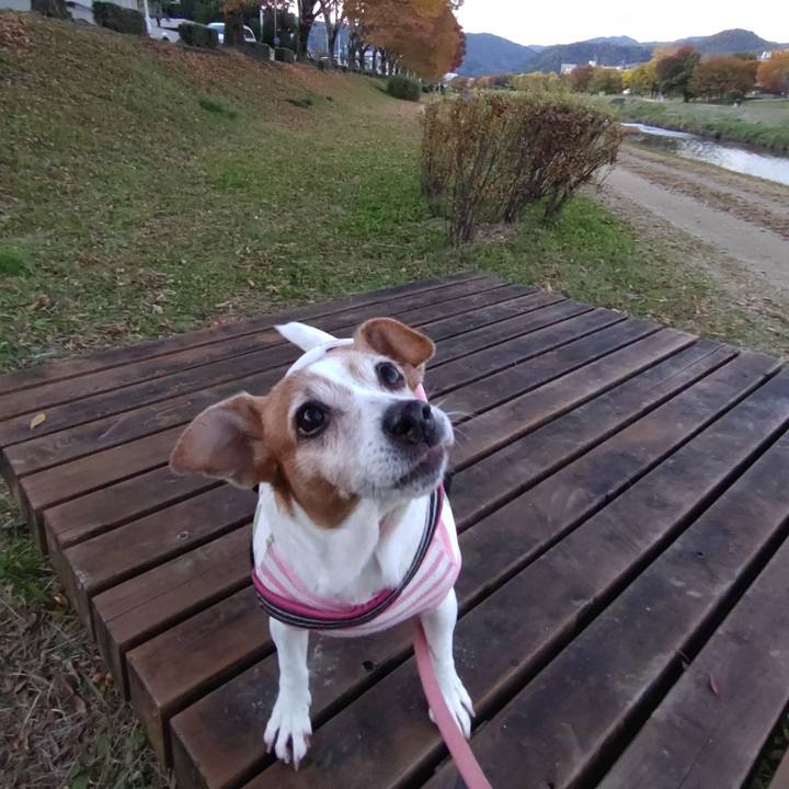 44ec7d93 0d68 424e 886f 676c87ba4cbc 1763281927301