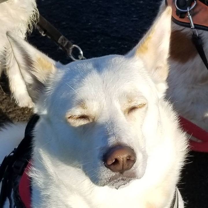 44eca294 7abd 484f ba5f 92f186298fef 1697429664631