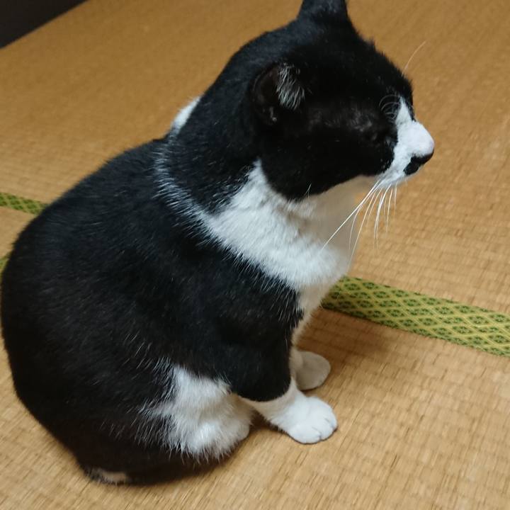 44ecc3ce b559 4fde 8211 316d32e24ea7 1542858761609