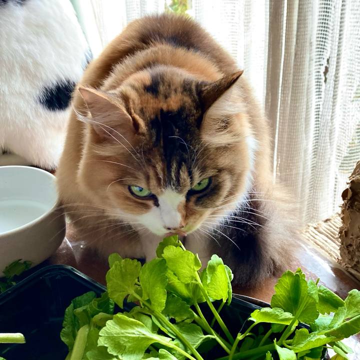 44eccbe3 f106 4518 b1d0 eee1e866a262 1666680154367