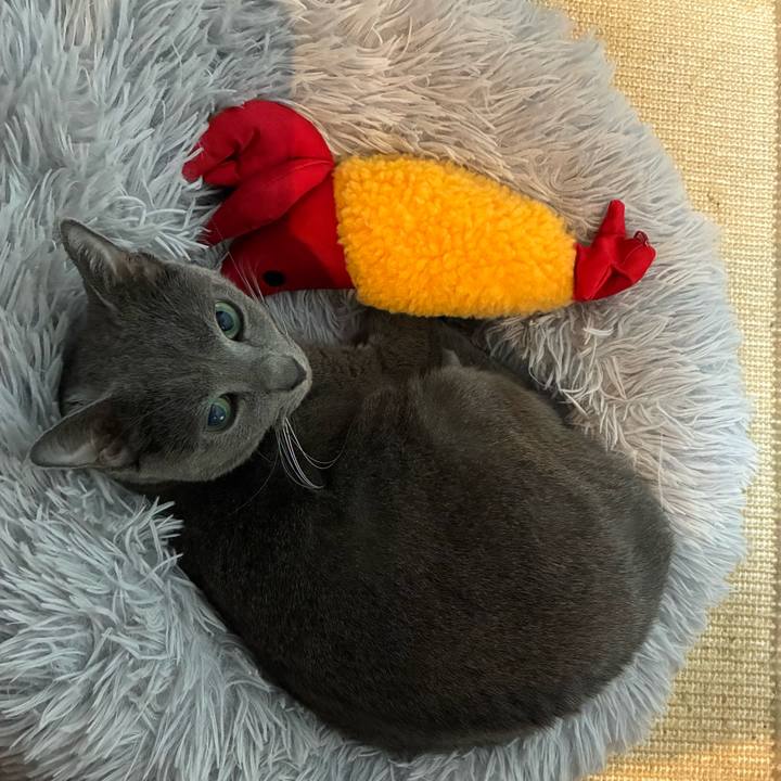 44ecd82a 9fd9 4d18 98a6 12399a80f655 1766649167536