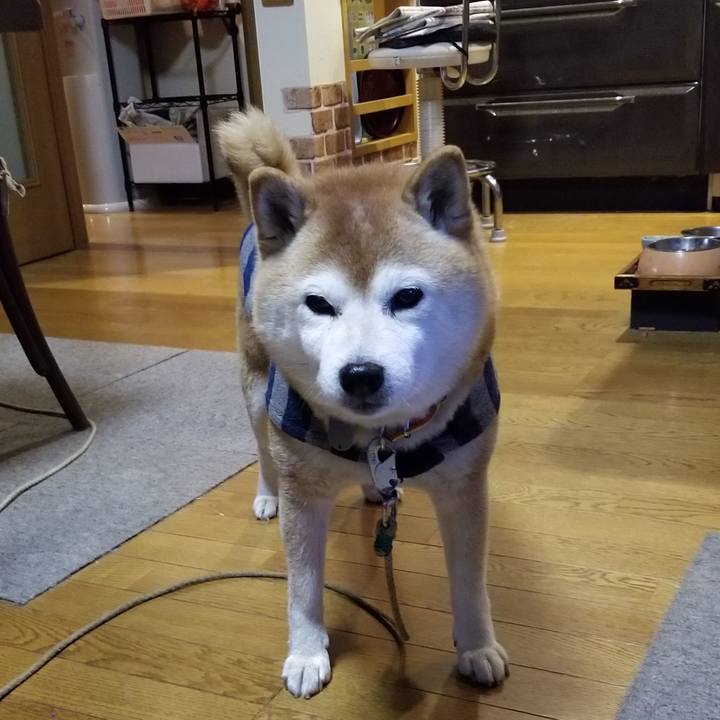 44ecebe9 428c 4657 ae15 09f05fcdc7dd 1674720274969