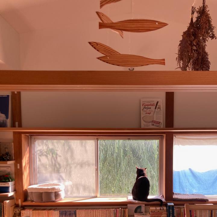 44ed0dda 1640 46f7 afdf 15f8caa5fd6a 1604714509932