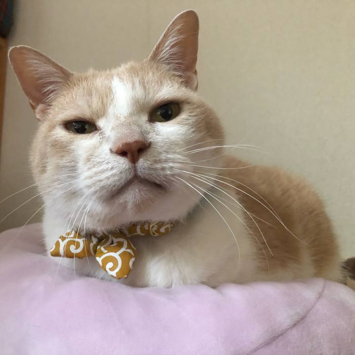 44ed29f9 b00d 416d af6c 44133790fd21 1586683014607