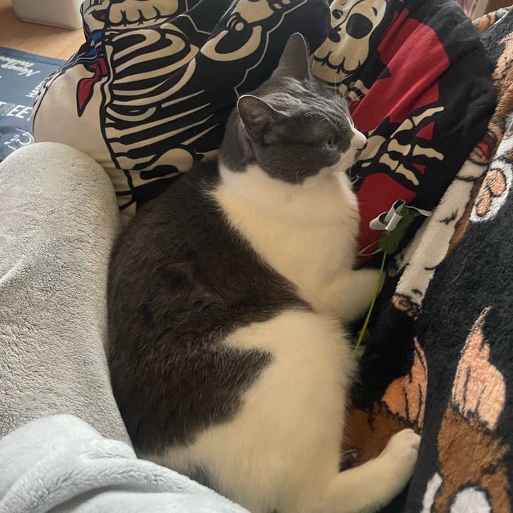 44ed2c82 317b 49aa a163 85cfbc835f48 1740038300247