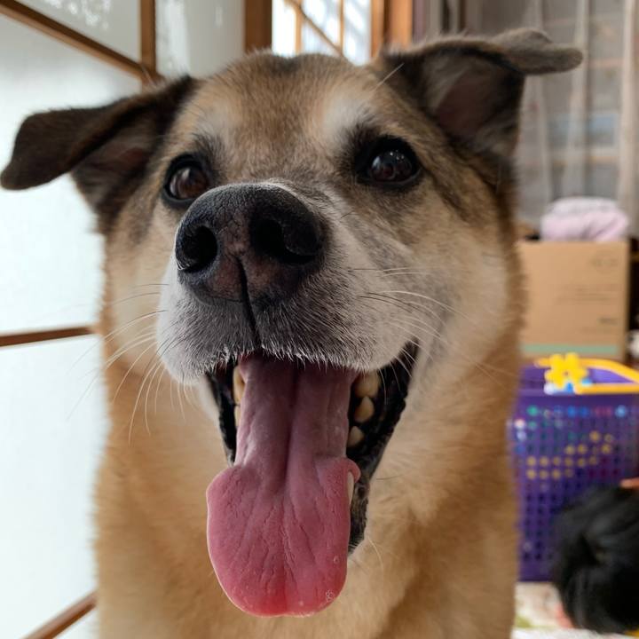 44ed4c7b 4762 4428 9ef4 9742d37c9c73 1640921405525