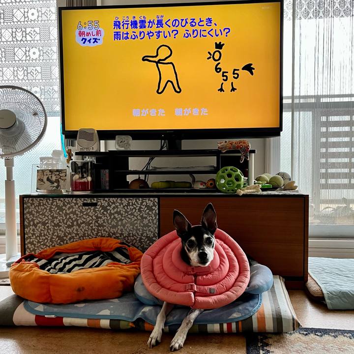 44ed68b1 c9d2 4015 ae1f 2d174d381246 1655244032662