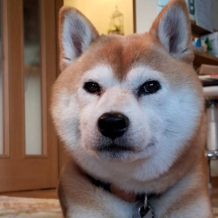 44ed7f63 1fe0 4fd1 95b7 127398011591 1567843607455