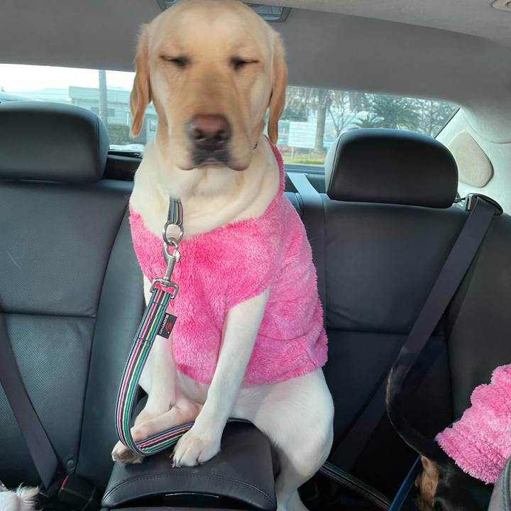 44edd3ec 3c95 49c5 8fc2 e73f77818d5c 1675839660836