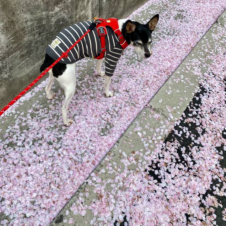 44eddb74 3421 496d 9d5d 214d14ae1074 1617145476376