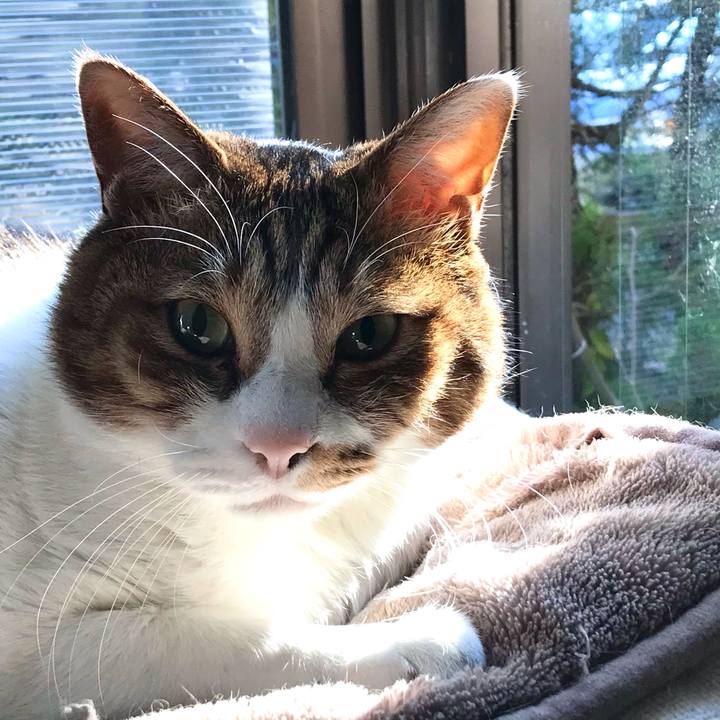 44ede573 143f 4554 91a6 fb1aed94d6cc 1612506827685