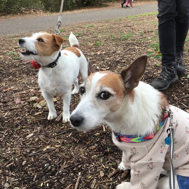 44edea4d c8e9 405e b27f e29a6875a4c0 1648423350122