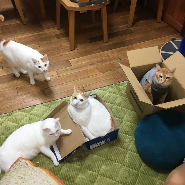 44ee080f df98 4020 a4b3 3e4d80c2cb33 1540160229661