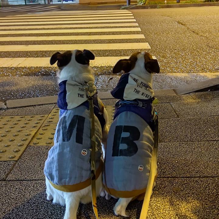 44ee0e59 225c 4d37 8a80 2aeca7f1a362 1633351716164