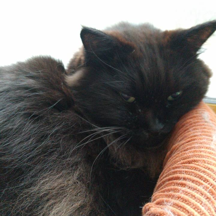 44ee1199 b672 4073 97b7 748d14fdfece 1639608442965