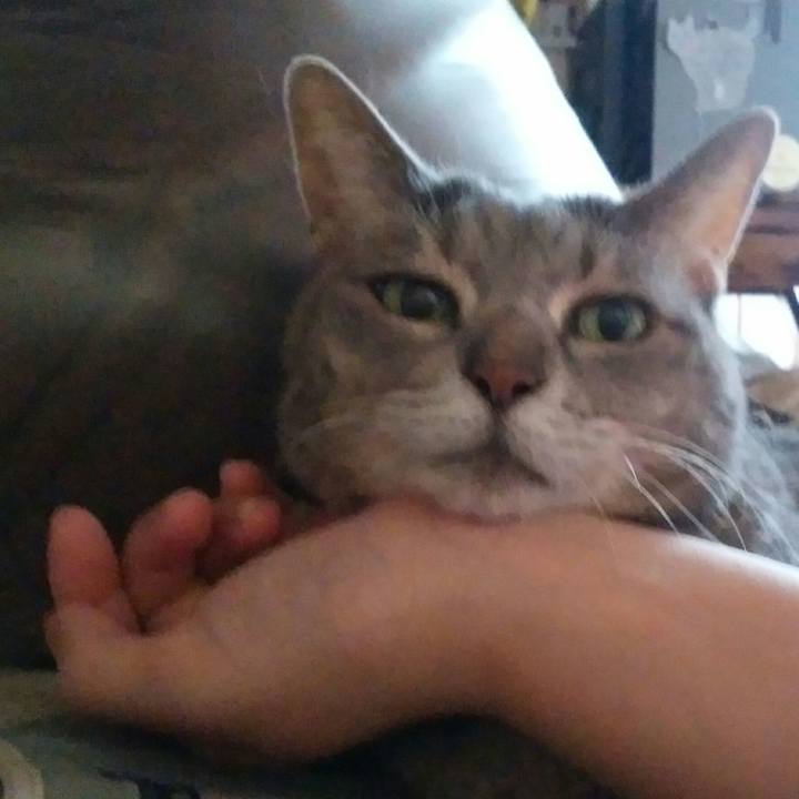 44ee215b adc8 4bfb 9d28 dffc80001b57 1565481155053