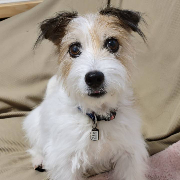 44ee8c57 33b7 4cc3 8367 e0190778e2e0 1762756238431