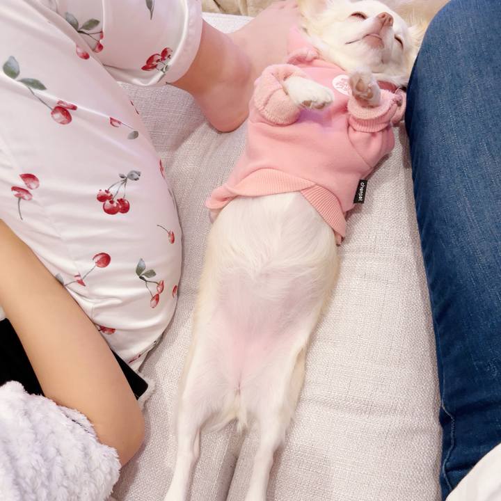 44eeb2ec 7513 40f1 b54b ea7632b0ac0a 1697971561428