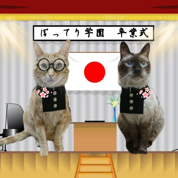 44eee84e a0be 446e a9d5 f352598cdb2f 1583498444304