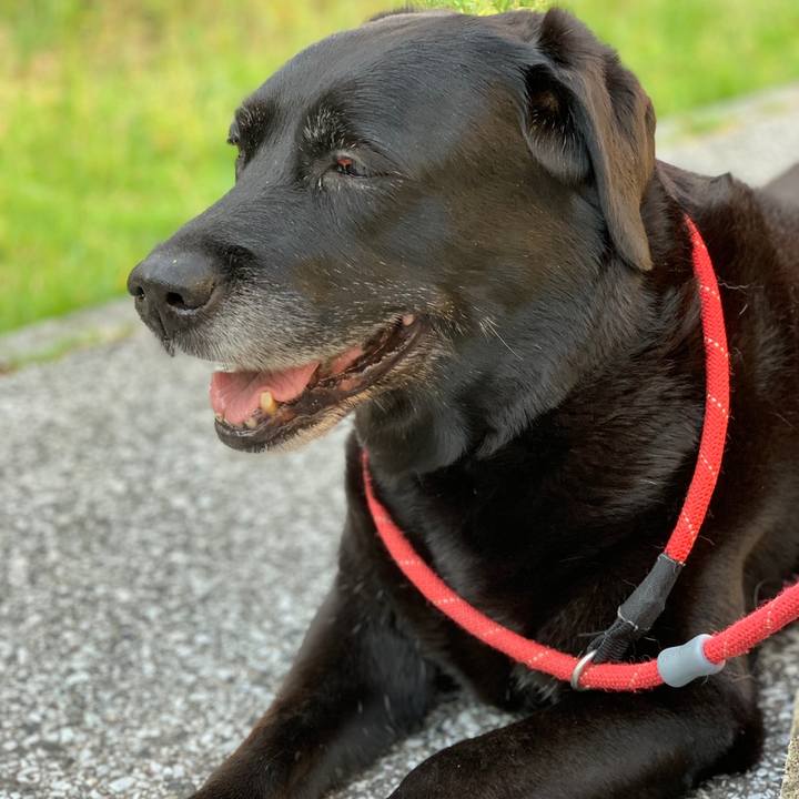 44eef8cd ce79 40b4 afee 90f8de3dd96a 1559776320096