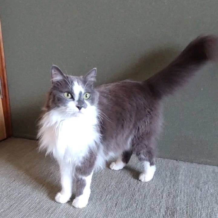 44ef0c18 88f4 4b4c 8fdb ee5661a8430c 1721625998113