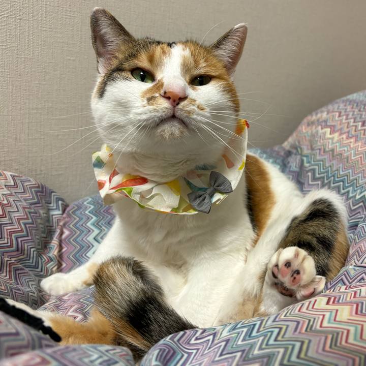 44ef21a6 9ccd 41a3 aff7 7943afc0de85 1769351625245