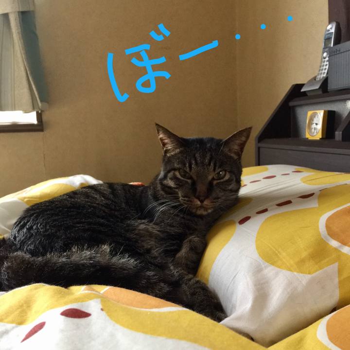 44ef618e 0a67 4118 a990 d16e63318e60 1524011902575